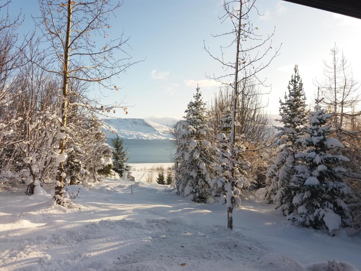 Bakkakot 1 - Cozy Cabins In The Woods Akureyri Dış mekan fotoğraf