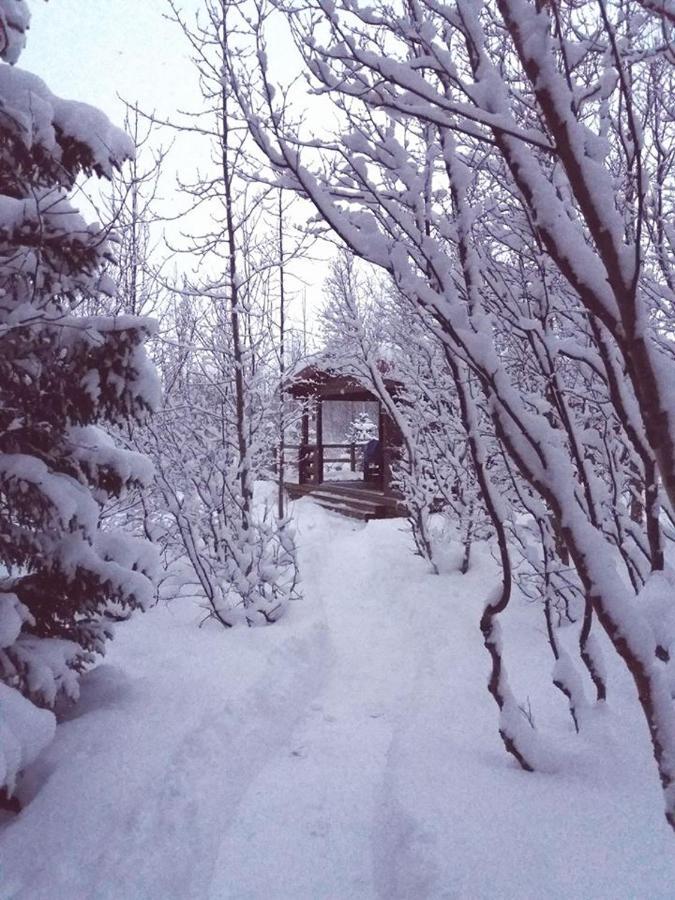 Bakkakot 1 - Cozy Cabins In The Woods Akureyri Dış mekan fotoğraf