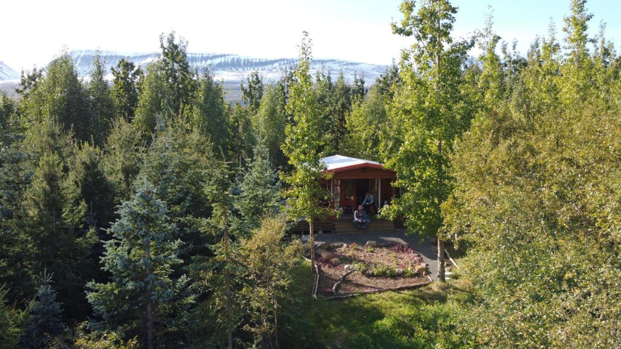 Bakkakot 1 - Cozy Cabins In The Woods Akureyri Dış mekan fotoğraf
